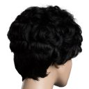 Real Human Hair Wig Short Curly Hair  Black