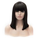 SW-1302 Euramerican Style Wig Short Hair Wig Fading Wine Red