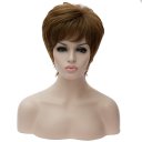 SW-1320 Euramerican Style Wig Fashion Short Fluffy Hair Wig Brown