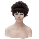 SW-1320 Euramerican Style Wig Fashion Short Fluffy Hair Wig Brown