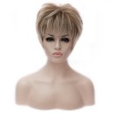 SW-1331 Euramerican Style Wig Fashion Short Fluffy Hair Wig Fading Brown