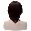 Cosplay COS Wig Fashion Short Hair Brown Brownish Red Highlight 34cm