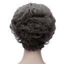 Fashion Cosplay COS Wig Short Fluffy Curly Hair Grayish White 29cm