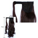 Wig Velcro Ponytail Curly Hair Wig 6B