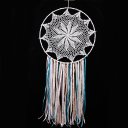 Traditional Fringed Lace Dream Catcher with Steel Ring Lint for Gift MS6035