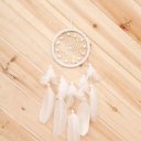 Traditional Cobweb White Feather Wooden Beads Dream Catcher for Bedroom MS6033