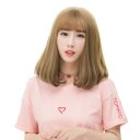 Wigs WM05/F2 brownish black