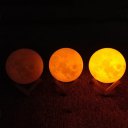 3D Printing Technology Home Decor Gift Moonlight Moon Lamp LED Nightlight