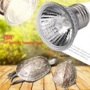 UVB 25W/50W/75W Compact Bulb Ideal Full Spectrum Terrarium Lamp For Amphibians