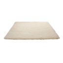 Coral Velvet Floor Mat Bedroom Footcloth Water Absorption Anti-slip Carpet