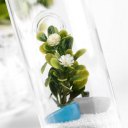 Hanging Glass Hydroponic Flowers Planter Vase Terrarium Container Decor