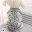 Pet Winter Casual Sweater Clothing Elastic Costume 2-Feet Sport Hoodies Jacket