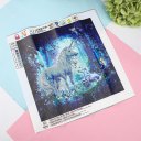 30*30cm DIY Diamond Paint Two Unicorn Embroidery Cross Stitch Home Decor 6334