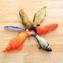 20cm Catnip Catmint Cat Favor Simulation Fish Cat Toys Fish Shape Short Plush