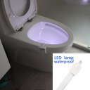 Toilet Nightlight Toliet Bathroom Auto Motion Activated Sensor Light Lamp