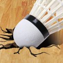 12pcs/set Professional Goose Feather Badminton Competition Gaming Shuttlecock