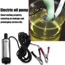 Small Volume Mini Electric Oil Pump With Stainless Steel Filter Net Shell