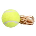 Rebound Tennis Trainer Self-study Set Training Aids Practice Partner Equipment