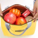 Thermal Insulated Cooler Lunch Box