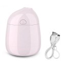 USB Portable Anion Mini Aroma Humidifier Air Diffuser Car Purifier Atomizer