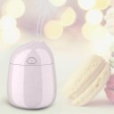 USB Portable Anion Mini Aroma Humidifier Air Diffuser Car Purifier Atomizer